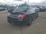 Used 2014 Ford Taurus SHO w/ Equipment Group 401A image 3