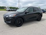 Used 2022 Ford Escape SE w/ Convenience Package image 2
