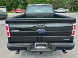 Used 2014 Ford F150 STX w/ Equipment Group 201A Mid image 4