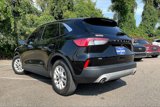 Used 2020 Ford Escape SE image 3