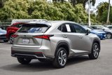 Used 2020 Lexus NX 300h AWD w/ Premium Package image 6