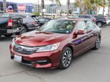 Used 2017 Honda Accord EX-L image 3