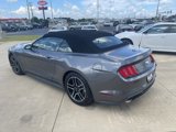 Used 2023 Ford Mustang Premium image 5