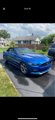 Used 2017 Ford Mustang Convertible w/ Equipment Group 051A image 2