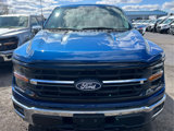 New 2025 Ford F150 XLT w/ Equipment Group 302A MID image 5