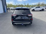 Used 2020 Ford Escape Titanium w/ Titanium Premium Package 2.0 image 4