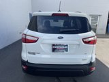 Used 2020 Ford EcoSport SE w/ SE Convenience Package image 6