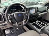 Used 2019 Ford F150 XLT w/ Equipment Group 302A Luxury image 3