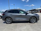 New 2024 Ford Escape ST-Line w/ Equipment Group 301A image 6