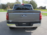 New 2024 Ford F150 XLT w/ Equipment Group 302A MID image 4