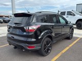 Used 2017 Ford Escape SE w/ Equipment Group 201A image 5