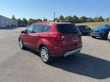 Used 2019 Ford Escape SEL image 5
