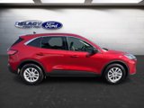 Used 2022 Ford Escape SE image 6