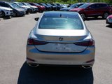 Used 2019 Lexus ES 350 w/ Luxury Package image 6