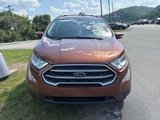 Used 2019 Ford EcoSport SE image 2