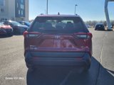 Used 2019 Toyota RAV4 LE image 4