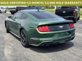 Certified 2023 Ford Mustang Coupe w/ Equipment Group 101A image 3