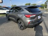 Used 2022 Ford Escape SE w/ SE Sport Appearance Package image 4