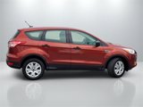 Used 2016 Ford Escape S image 4