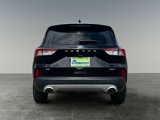Used 2020 Ford Escape SE Sport image 6