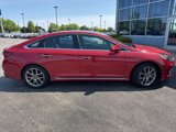 Used 2019 Hyundai Sonata Limited image 6
