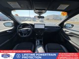 Used 2023 Ford Escape ST-Line w/ Tech Pack #1 image 6