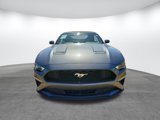Used 2022 Ford Mustang Premium image 2