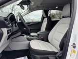 New 2025 Ford Escape Active w/ Cold Weather Package image 5
