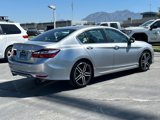 Used 2017 Honda Accord Sport Special Edition image 3