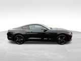 Used 2017 Ford Mustang Premium w/ Ecoboost Performance Package image 3
