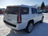 Used 2020 Cadillac Escalade Luxury image 5