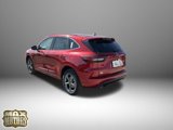 New 2024 Ford Escape ST-Line w/ Tech Pack #1 image 6