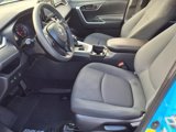 Used 2019 Toyota RAV4 LE w/ All Weather Liner Package image 5