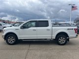 Used 2019 Ford F150 XLT w/ Equipment Group 302A Luxury image 4