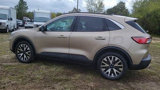 Certified 2020 Ford Escape SEL image 3