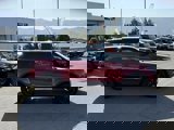 Used 2019 Land Rover Range Rover Evoque SE image 6
