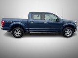 Used 2016 Ford F150 XLT w/ Equipment Group 301A Mid image 6