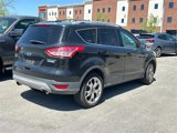 Used 2013 Ford Escape Titanium w/ Parking Technology Pkg image 4