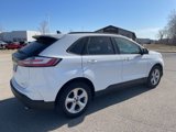 Used 2020 Ford Edge SE w/ Cargo Accessory Package image 3