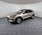 Used 2020 Ford Escape SE image 2