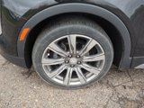 Used 2019 Cadillac XT4 Premium Luxury w/ Driver Assist Package image 2