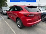 Certified 2024 Ford Escape ST-Line w/ Tech Pack #1 image 3