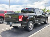 Used 2016 Ford F150 XLT w/ Equipment Group 302A Luxury image 2