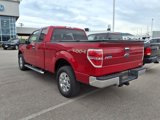 Used 2011 Ford F150 XLT w/ XLT Chrome Pkg image 5