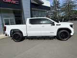 New 2025 GMC Sierra 1500 Elevation image 3