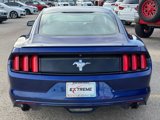 Used 2016 Ford Mustang Coupe w/ Equipment Group 051A image 3