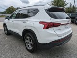 Used 2023 Hyundai Santa Fe SEL w/ Cargo Package image 6