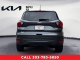 Used 2019 Ford Escape SEL image 4