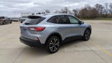 Used 2022 Ford Escape SE w/ SE Sport Appearance Package image 3