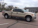 Used 2013 Ford F150 XLT w/ Luxury Equipment Group image 3